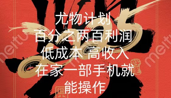 尤物计划-200％暴利 低成本 高收入 一部手机即可操作-项目网资源站