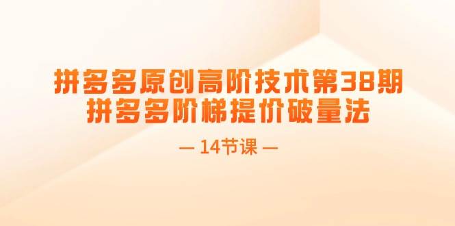 拼多多原创高阶技术第38期，拼多多阶梯提价破量法（14节课）-项目网资源站