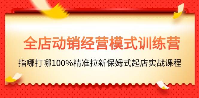 全店动销-经营模式训练营，指哪打哪100%精准拉新保姆式起店实战课程-项目网资源站