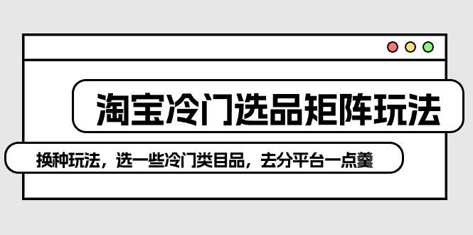 淘宝冷门选品矩阵玩法：换种玩法，选一些冷门类目品，去分平台一点羹-项目网资源站