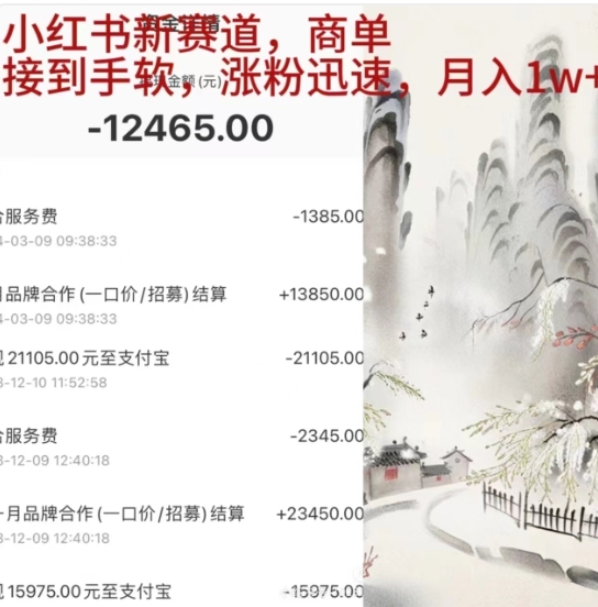 小红书新赛道，商单接到手软，涨粉迅速，一个月1w+-项目网资源站