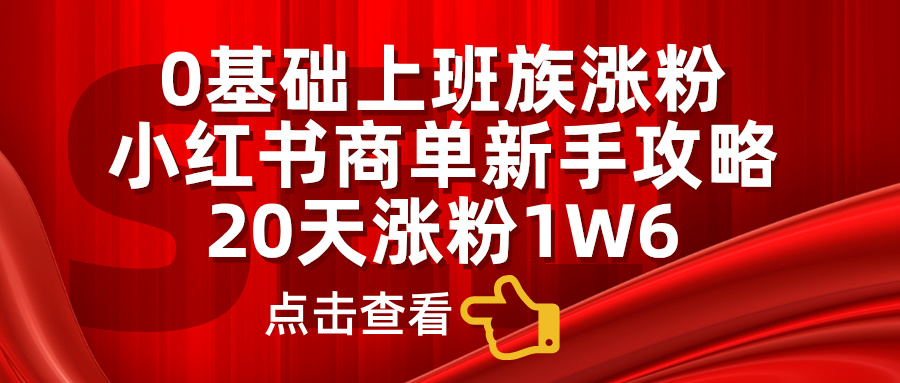 小红书商单新手攻略，20天涨粉1.6w，0基础上班族涨粉-项目网资源站