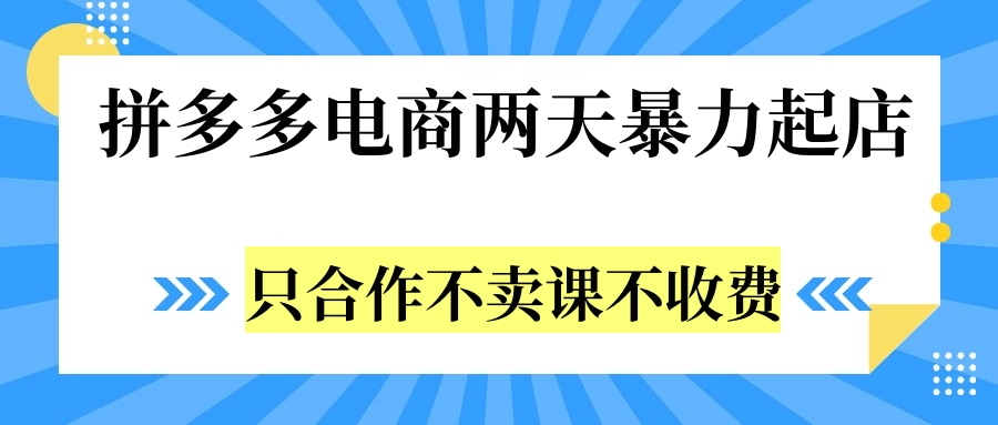 拼多多两天暴力起店，只合作不卖课不收费-项目网资源站