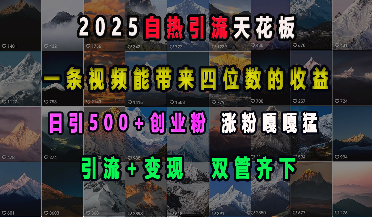 2025自热引流天花板，一条视频能带来四位数的收益，引流+变现双管齐下，日引500+创业粉，涨粉嘎嘎猛-项目网资源站