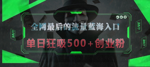 全网最后的流量蓝海入口，半小时引流50+创业粉，单日狂吸500+创业粉-项目网资源站