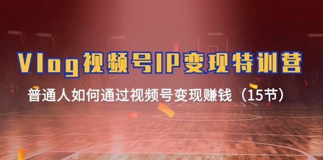 Vlog 视频号IP变现特训营，普通人如何通过视频号变现赚钱（15节）-项目网资源站
