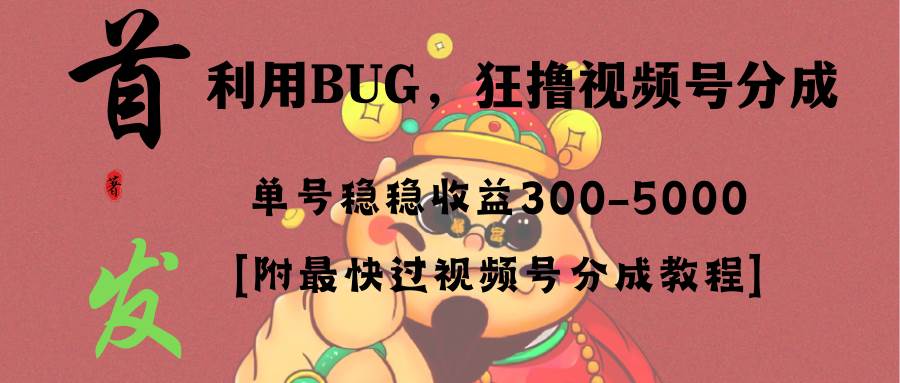 全网独家首发，视频号BUG，超短期项目，单号每日净收益300-5000！-项目网资源站