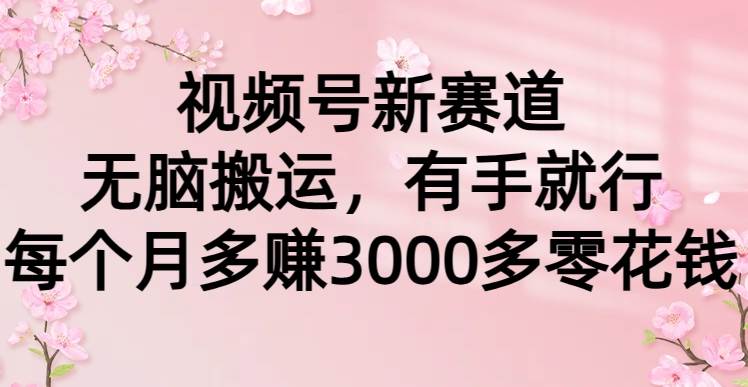 视频号新赛道，无脑搬运，有手就行，每个月多赚3000多零花钱-项目网资源站