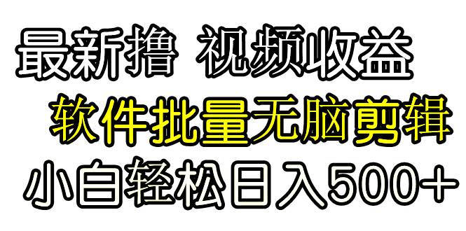 发视频撸收益，软件无脑批量剪辑，第一天发第二天就有钱-项目网资源站