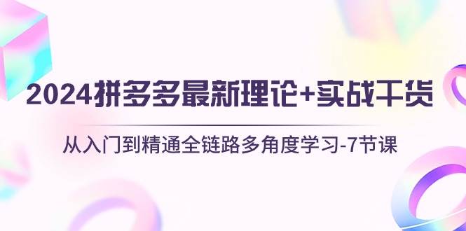 2024拼多多 最新理论+实战干货，从入门到精通全链路多角度学习-7节课-项目网资源站