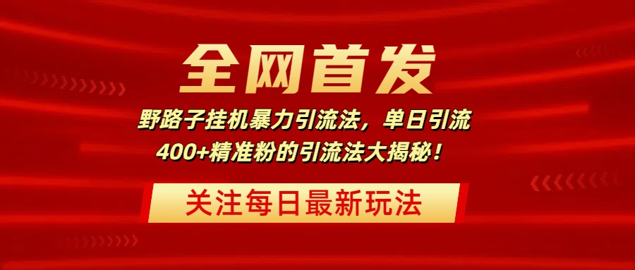 全网首发，野路子挂机暴力引流法，单日引流400+精准粉的引流法大揭秘！-项目网资源站