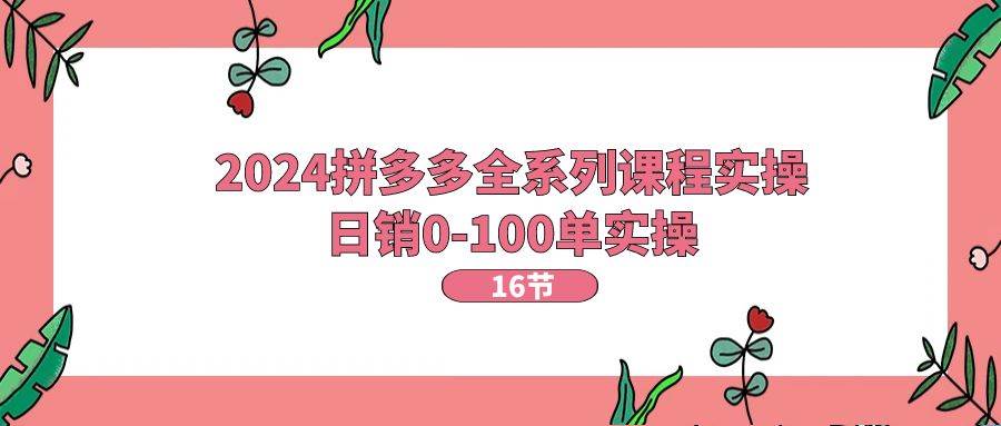 2024拼多多全系列课程实操，日销0-100单实操【16节课】-项目网资源站