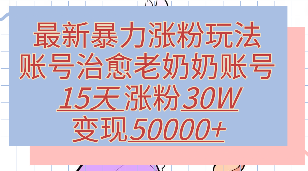 最新暴力涨粉玩法，治愈老奶奶账号，15天涨粉30W，变现50000+【揭秘】-项目网资源站