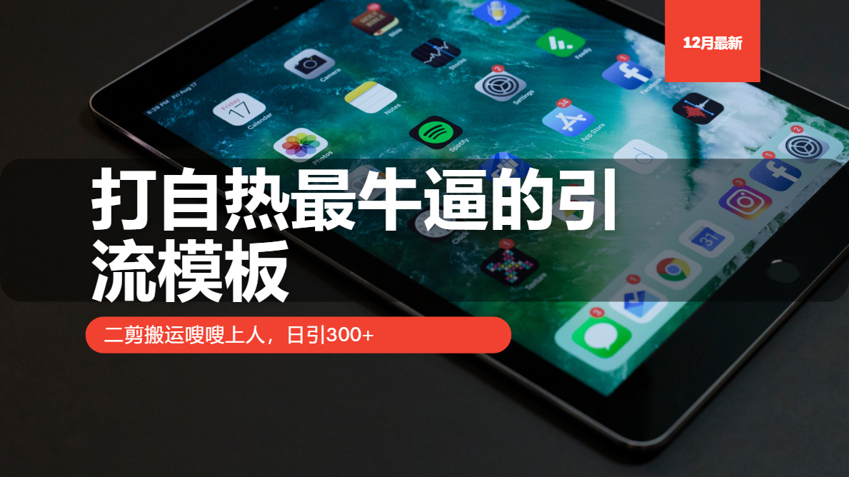 打自热最牛逼的引流模板，日引300+，二剪搬运嗖嗖上人-项目网资源站