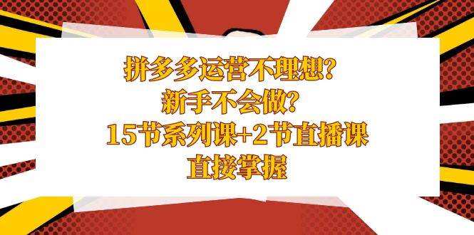 拼多多运营不理想？新手不会做？15节系列课+2节直播课，直接掌握-项目网资源站