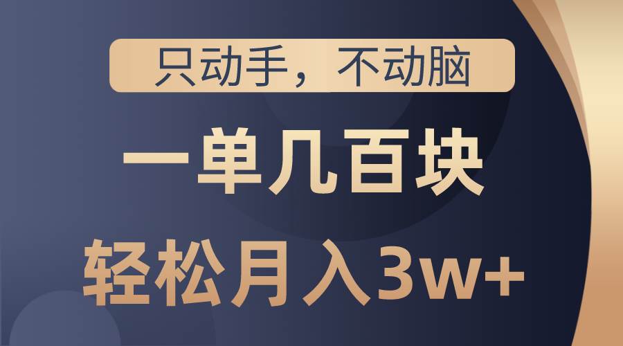 只动手不动脑，一单几百块，轻松月入3w+，看完就能直接操作，详细教程-项目网资源站