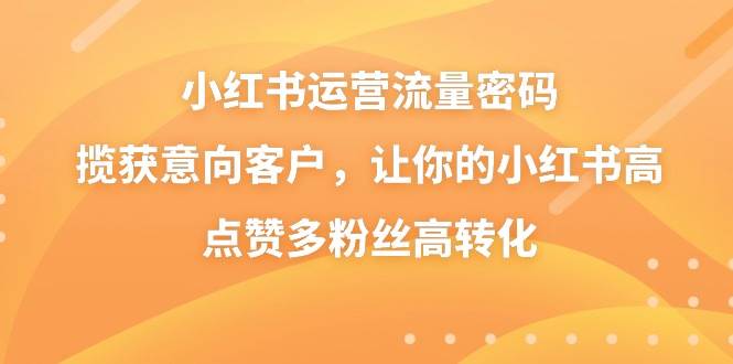 小红书运营流量密码，揽获意向客户，让你的小红书高点赞多粉丝高转化-项目网资源站