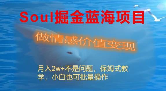 Soul掘金蓝海项目细分赛道，做情感价值变现，月入2w+不是问题-项目网资源站