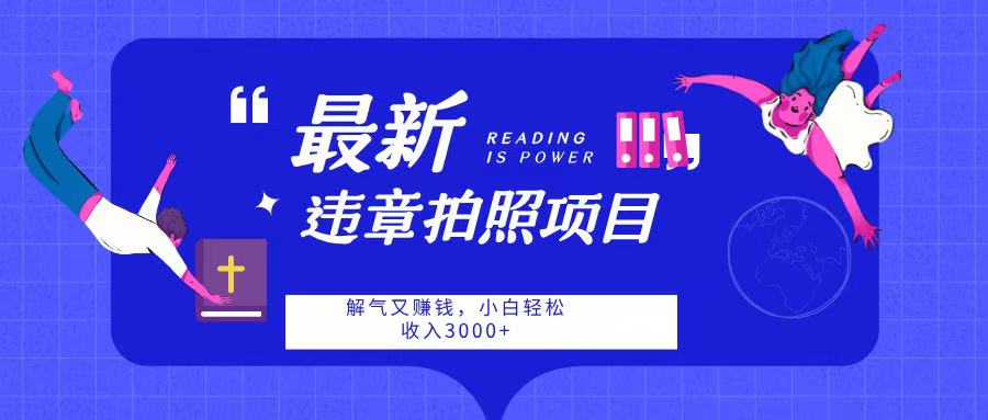 最新违章拍照项目，解气又赚钱，随手一拍，轻松收入3000-项目网资源站