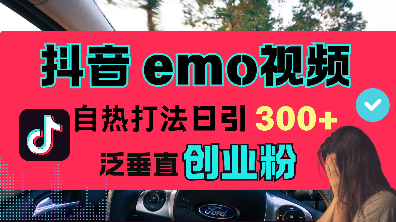 抖音“EMO视频”自热流打法，日引300+泛垂直创业粉-项目网资源站