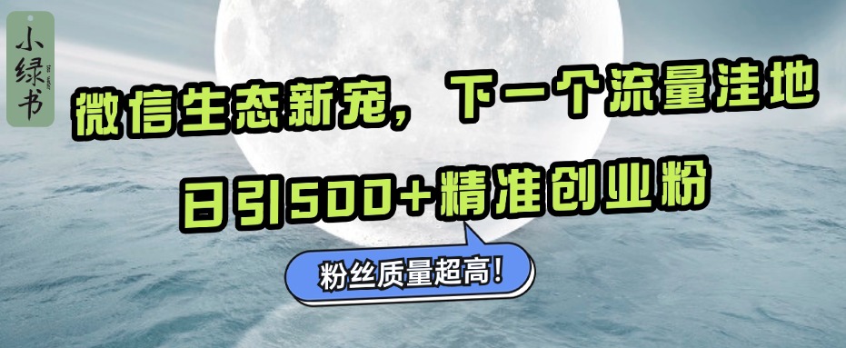 微信生态新宠小绿书：下一个流量洼地，粉丝质量超高，日引500+精准创业粉，-项目网资源站