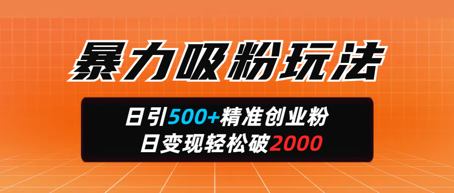暴力吸粉玩法，日引500+精准创业粉，日变现轻松破2000-项目网资源站