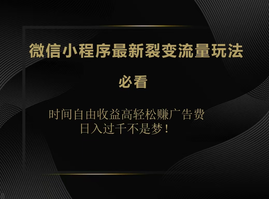 微信小程序最新裂变流量玩法，时间自由收益高轻松赚广告费，日入200-500+-项目网资源站