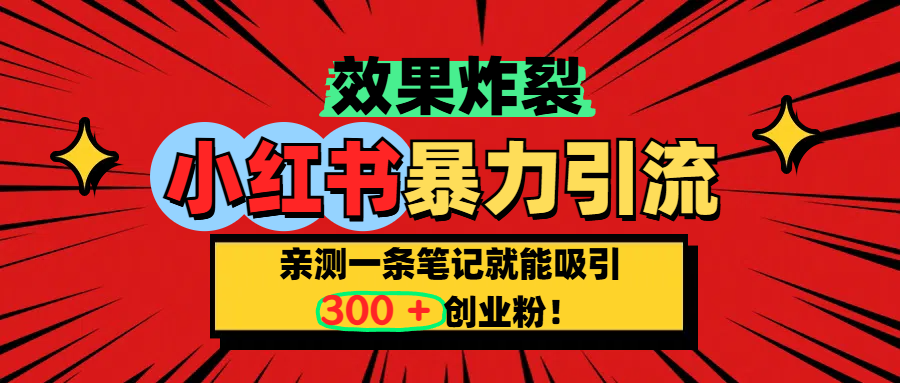 小红书炸裂玩法，亲测一条笔记就能吸引300+精准创业粉！-项目网资源站