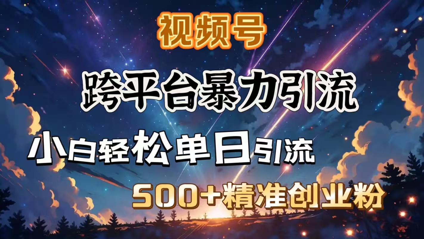 视频号跨平台暴力引流，小白轻松单日引流500＋精准创业粉-项目网资源站