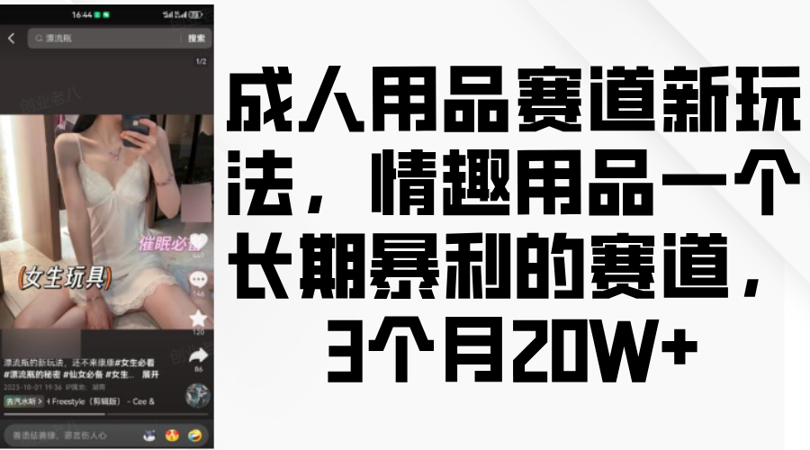 情趣用品一个长期暴利的赛道，成人用品赛道新玩法，3个月20W+-项目网资源站