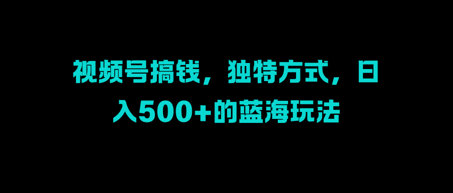 视频号搞钱，独特方式，日入500+的蓝海玩法-项目网资源站