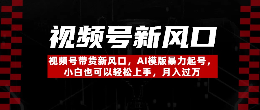 视频号带货新风口，AI模版暴力起号，小白也可以轻松上手，月入过万-项目网资源站