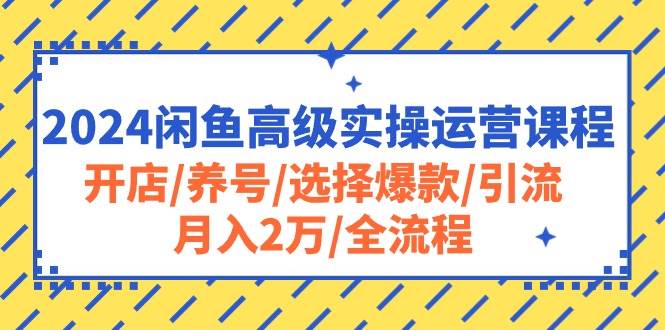 2024闲鱼高级实操运营课程：开店/养号/选择爆款/引流/月入2万/全流程-项目网资源站