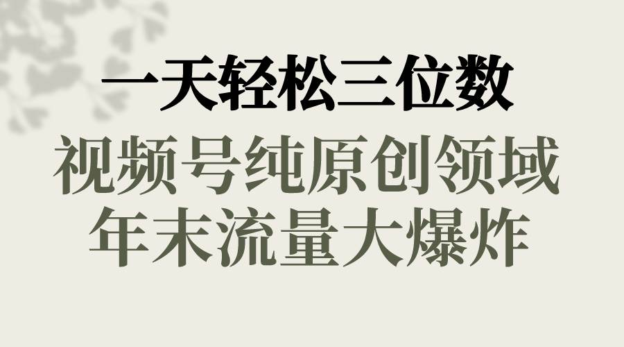 一天轻松三位数，视频号纯原创领域，春节童子送祝福，年末流量大爆炸-项目网资源站