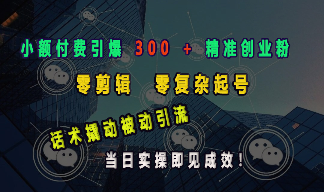 小额付费引爆 300 + 精准创业粉，零剪辑、零复杂起号，话术撬动被动引流，当日实操即见成效！-项目网资源站