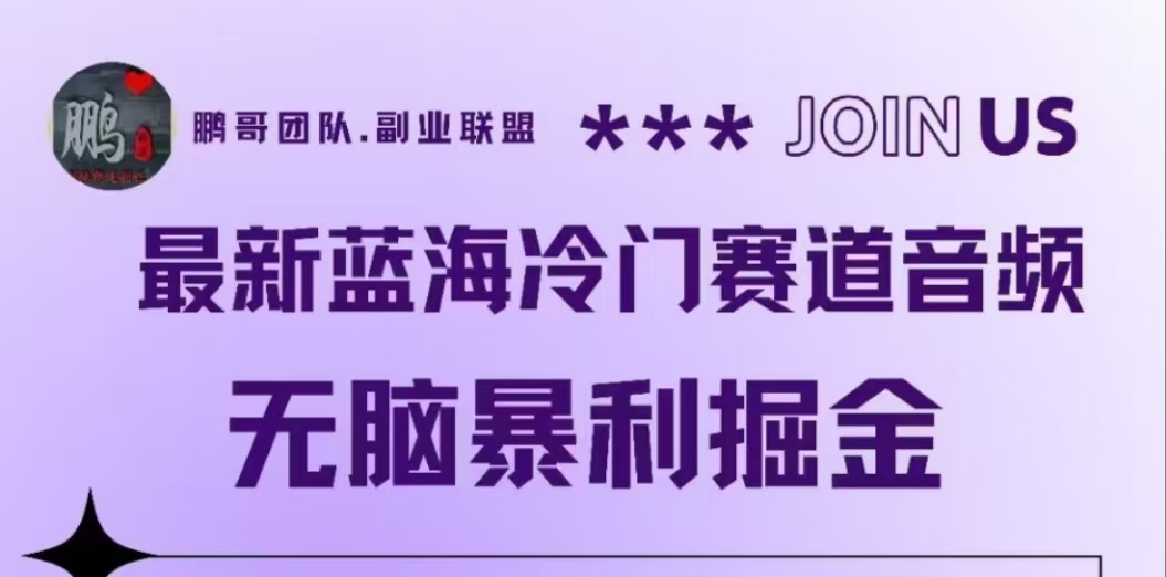 最新蓝海冷门赛道音频，无脑暴利掘金-项目网资源站