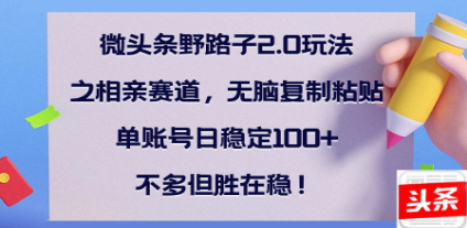 全网首发微头条野路子2.0玩法之相亲赛道，无脑搬砖复制粘贴，单账号日稳定300+保姆级教程-项目网资源站