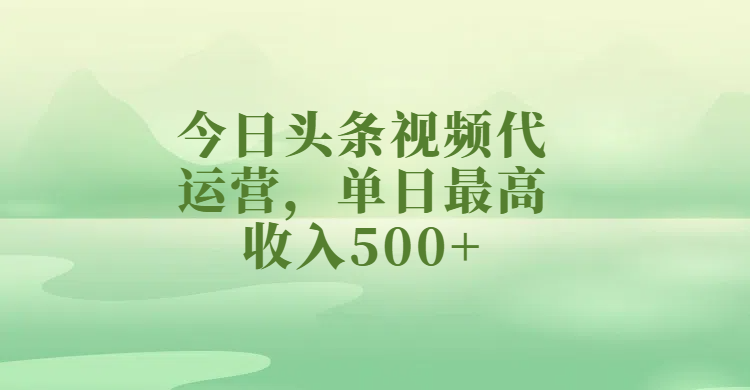 今日头条视频代运营，单日最高收入500+-项目网资源站