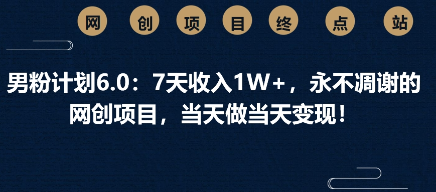 男粉计划6.0：7天收入1W+，永不凋谢的网创项目，当天做当天变现！-项目网资源站