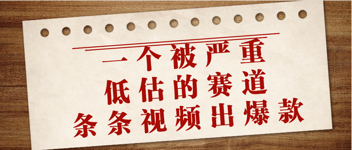 一个被严重低估的赛道，条条视频出爆款，一个月变现3万+-项目网资源站