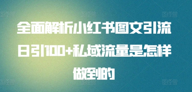 日引流100私域流量小红书图文是怎样做到的全面解析-项目网资源站