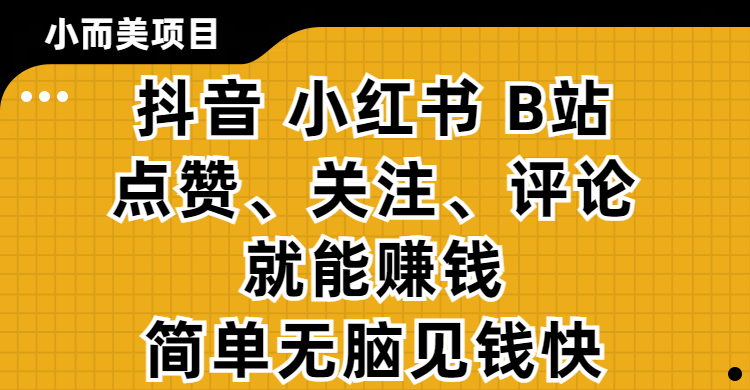 小而美的项目，抖音、小红书、B站视频点赞、关注、评论就能赚钱，简单无脑立见收益！妥妥的零撸项目-项目网资源站