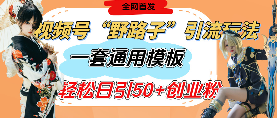 视频号“野路子”玩法，评论区疯狂截流，一套模板单日单号引流50+创业粉-项目网资源站