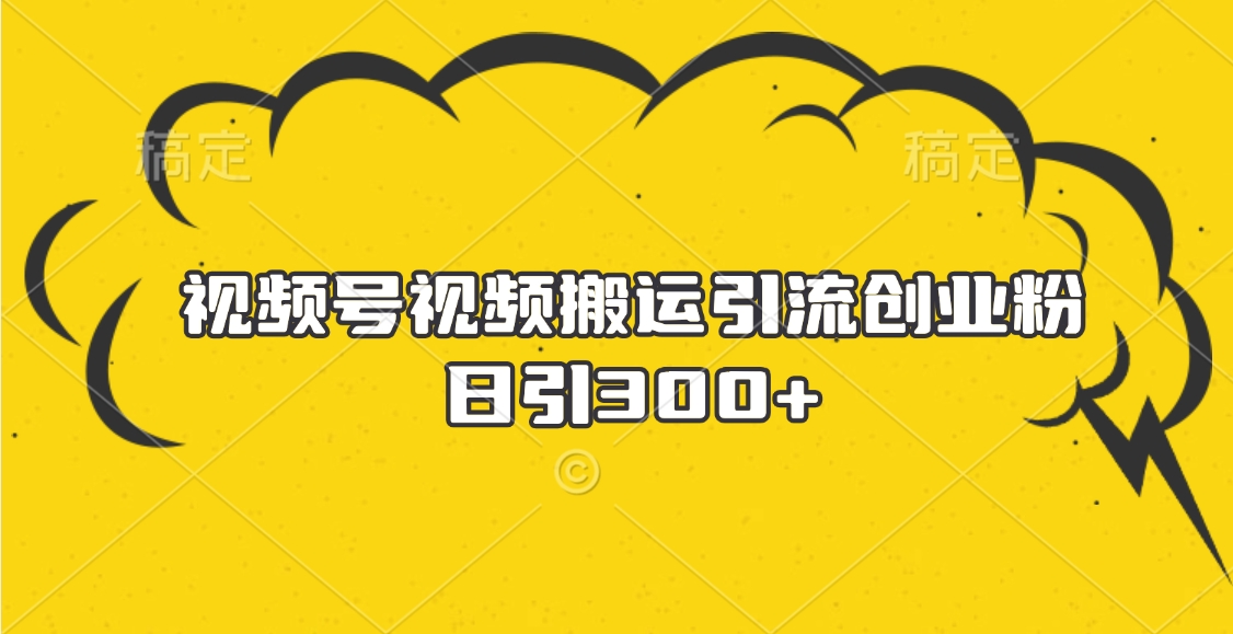 视频号视频搬运引流创业粉，日引300+-项目网资源站
