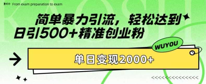 简单暴力引流轻松达到日引500+精准创业粉，单日变现2k【揭秘】-项目网资源站