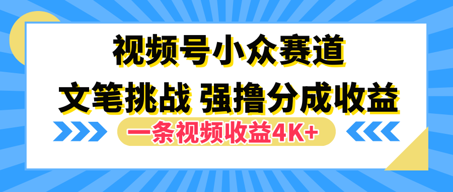 视频号小众赛道，文笔挑战，一条视频收益4K+-项目网资源站
