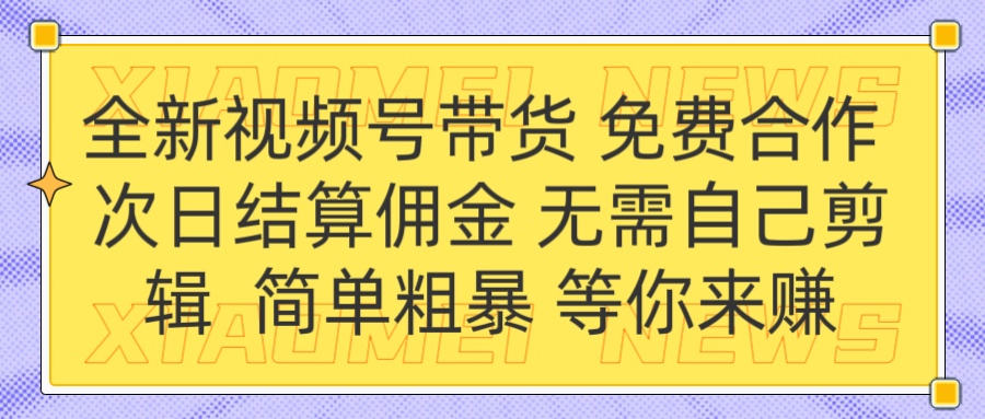 全新视频号 免费合作 佣金次日结算 无需自己剪辑-项目网资源站
