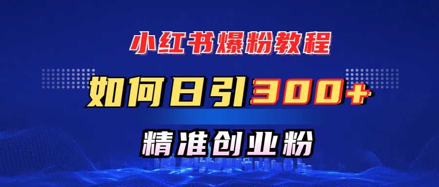 小红书爆粉教程，如何日引300+创业粉，快速实现精准变现！-项目网资源站