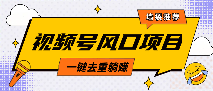 视频号风口蓝海项目，中老年人的流量密码，简单无脑，一键去重，轻松月入过万-项目网资源站