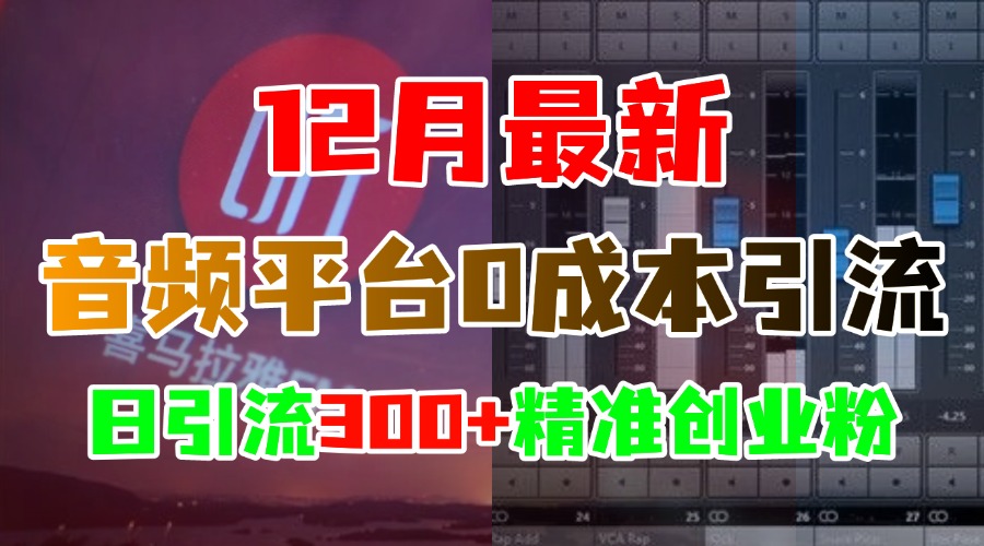 12月最新：音频平台0成本引流，日引300+精准创业粉-项目网资源站